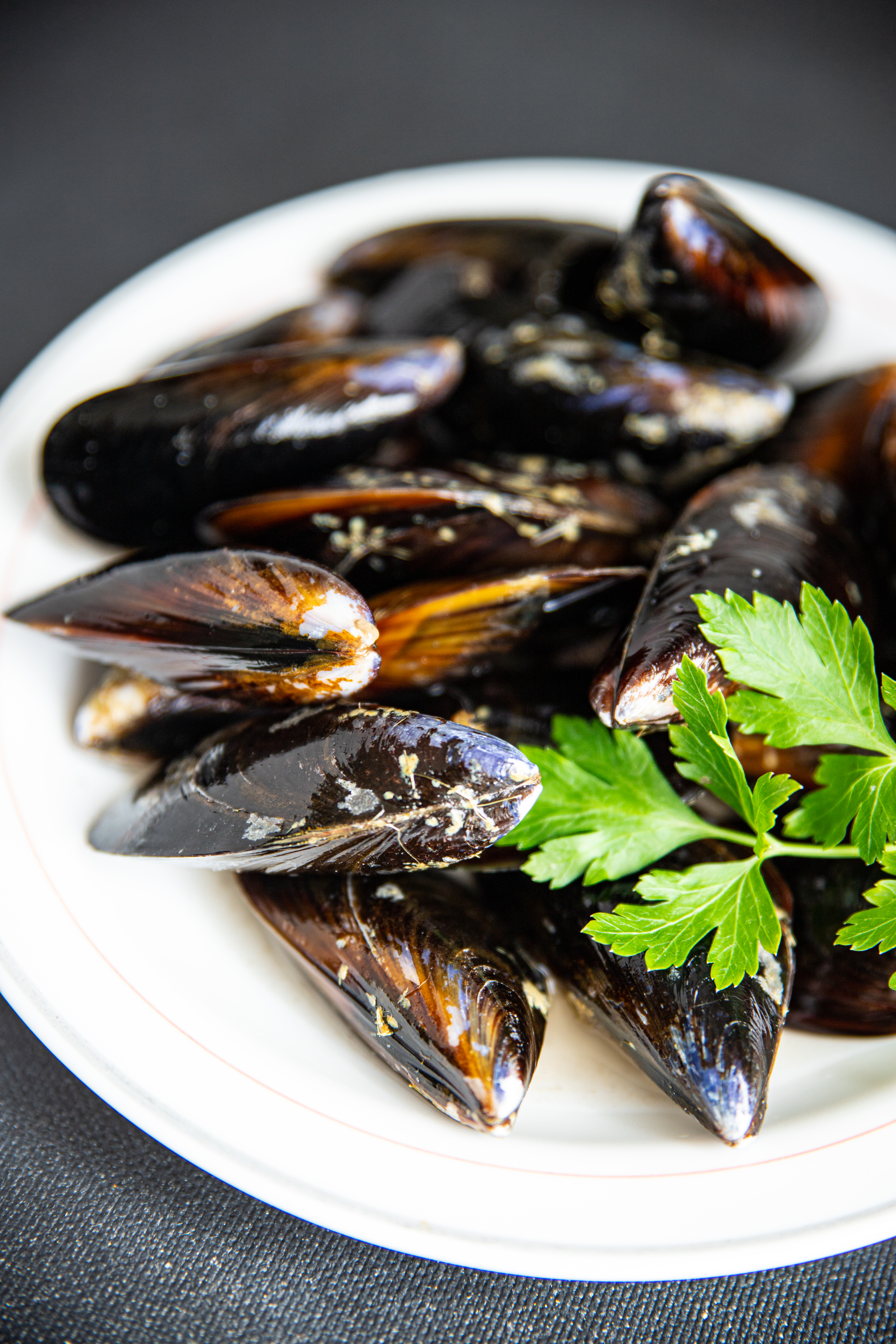 East Coast Mussels in White Wine Sauce